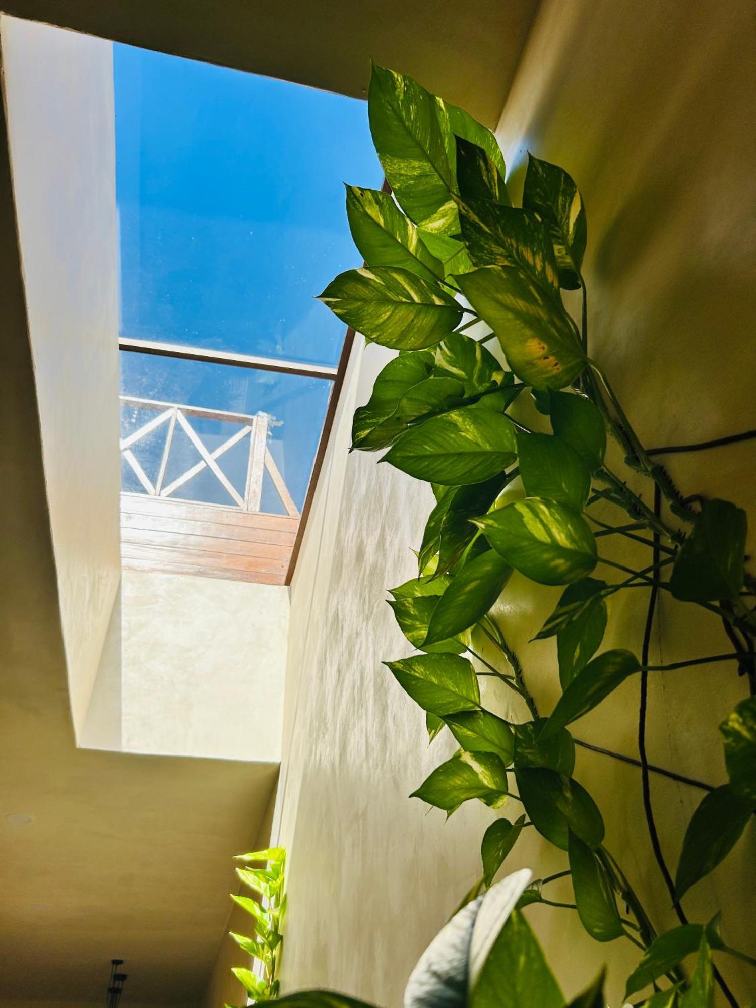 Sunsteps Casa Holbox Apartment Exterior photo